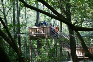 Wolfsgehege und Aussichtsturm